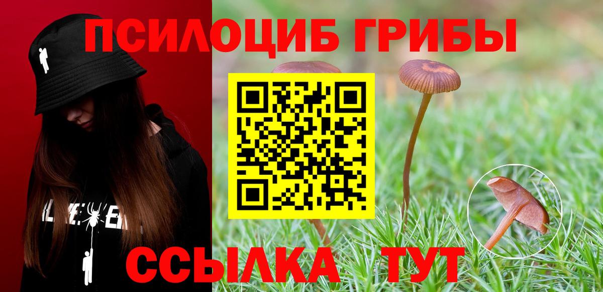 Псилоцибиновые грибы GOLDEN TEACHER Камышлов